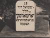 "Here lies Reb Szmuel Dawid son of Hilel Jarmowski Jermowski. He died 11th Tamuz 5691. May his soul be bound in the bond of everlasting life."