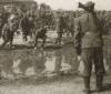 Red Army prisoners. Few try to catch some water from a puddle...