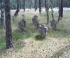Czarne.Leny cmentarz 40 000 jecw Armii Czerwonej zamczonych w Stalagu II B Hammerstein.